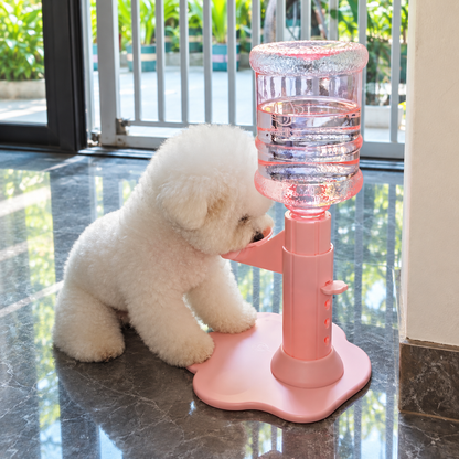 Self-Reffilling Pet Water Dispenser